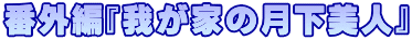 番外編『我が家の月下美人』